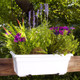 Countryside Flower Box Countryside Flower Box